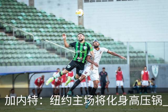 加内特：纽约主场将化身高压锅 文班去年找我特训已为此准备好